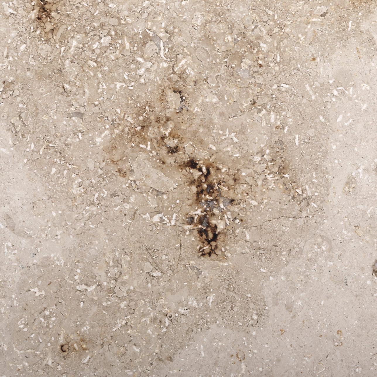 Jura Silver Edition lineair fr slim