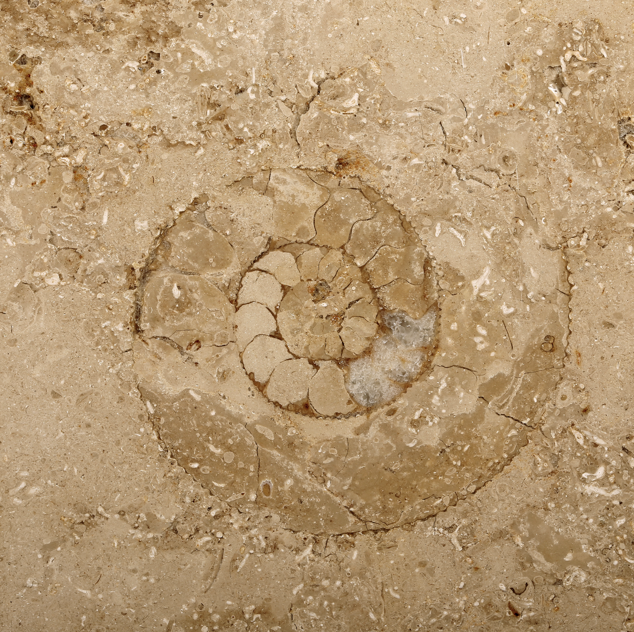 Jura Marble Edition Classic met Zwitserse stekker (J-type)